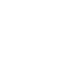 home icon
