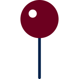 pin icon
