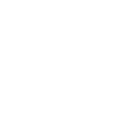 satisfied icon